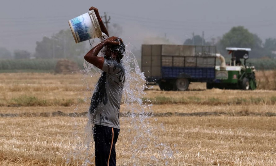 Hindistan’daki ölümcül sıcak hava dalgası, gıda krizini derinleştirecek
