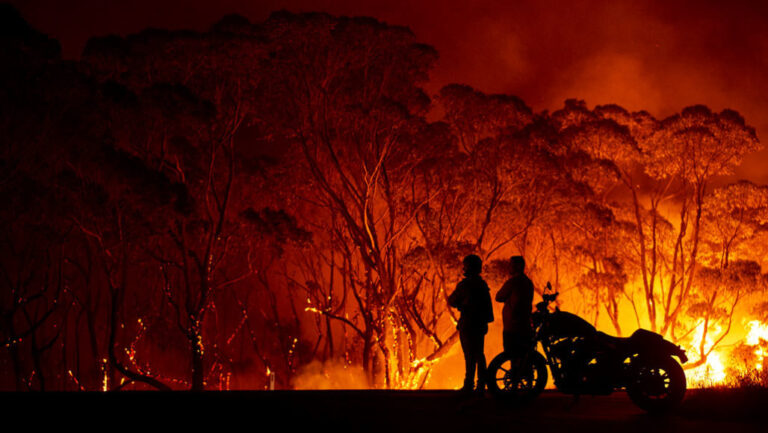 010820_CG_wildfire_QA_feat-1028x579