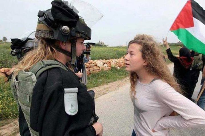 ahed