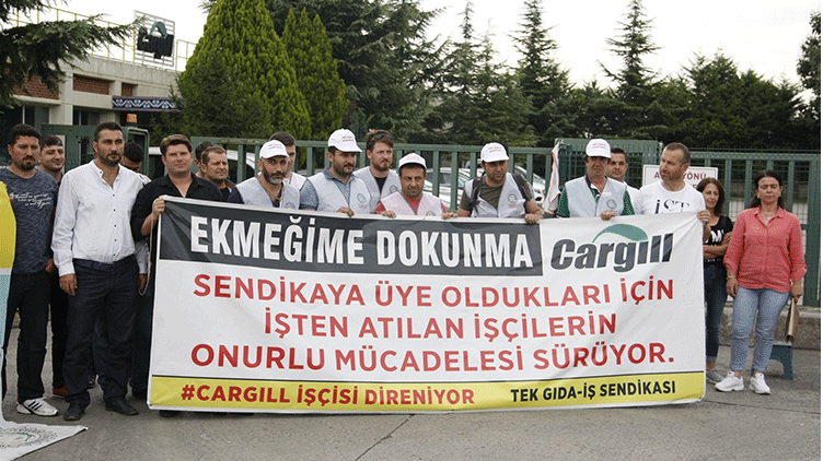 cargill