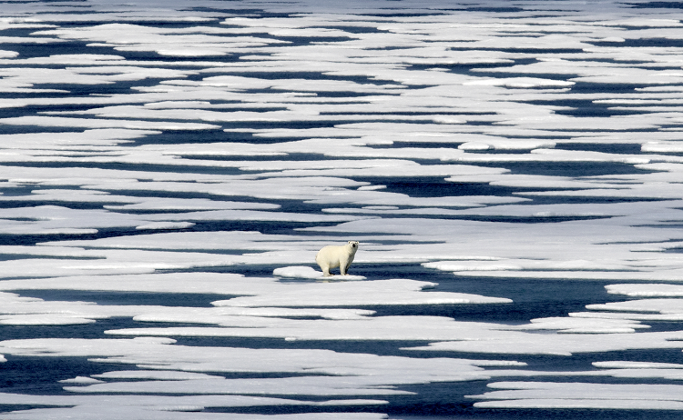 climate