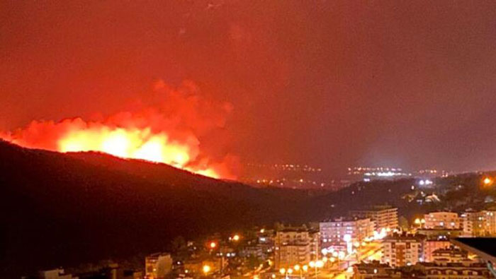 hatay-da-yangin-12