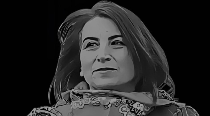 hdp-den-aysel-tugluk-icin-video-979215-5