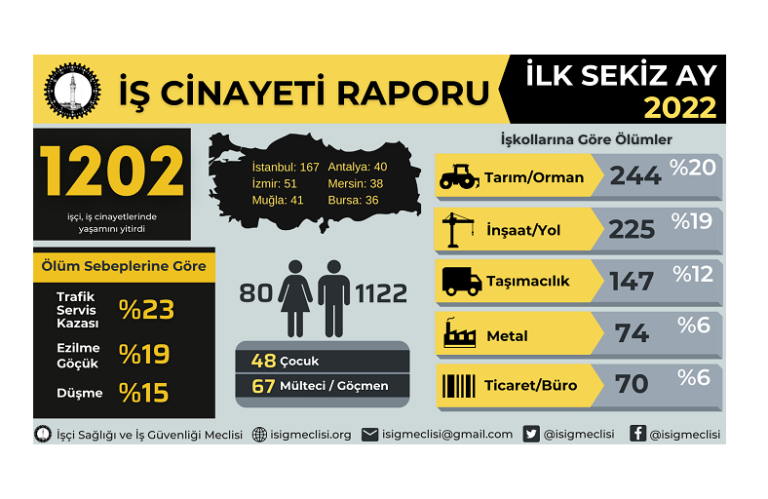info_8ay