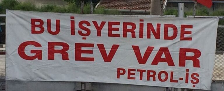 petrolisgrev