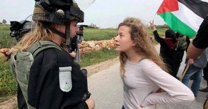tamimi