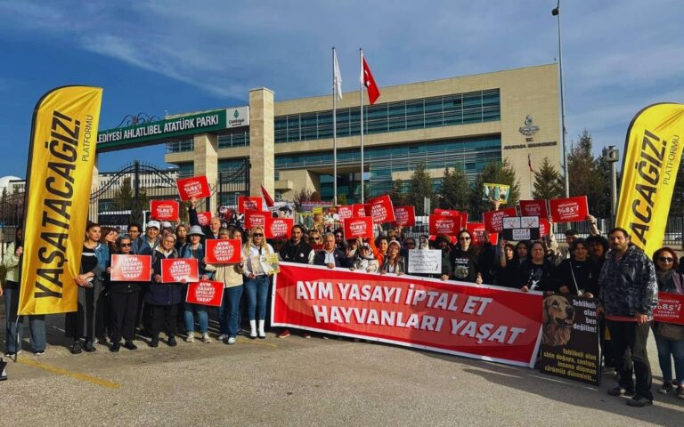aym-sokaktaki-hayvanlarla-ilgili-duzenlemenin-iptalini-gorusecek