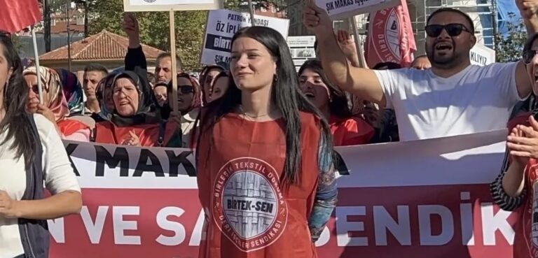 WhatsApp Image 2025-11-11 at 13.53