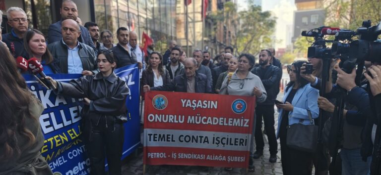 WhatsApp Image 2025-11-11 at 17.24