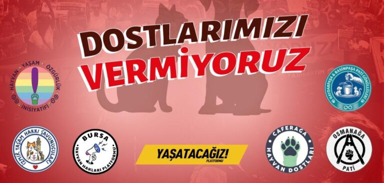 WhatsApp Image 2025-12-17 at 13.19