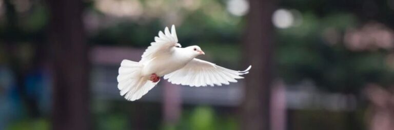 WhatsApp Image 2025-12-20 at 12.38