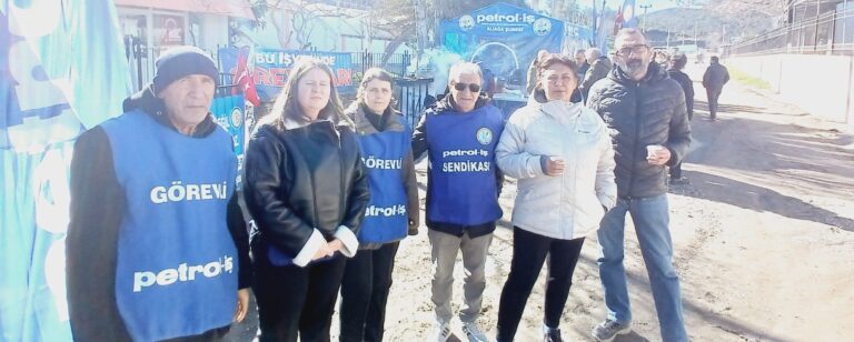 WhatsApp Image 2026-01-13 at 13.36