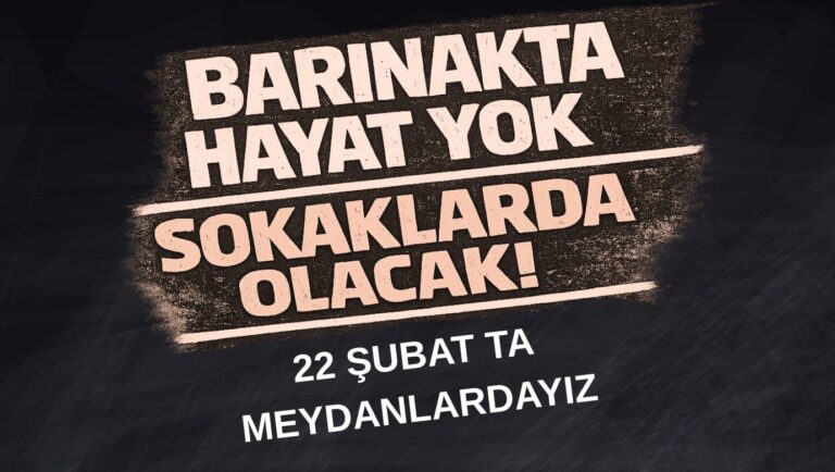 WhatsApp Image 2026-02-20 at 16.55