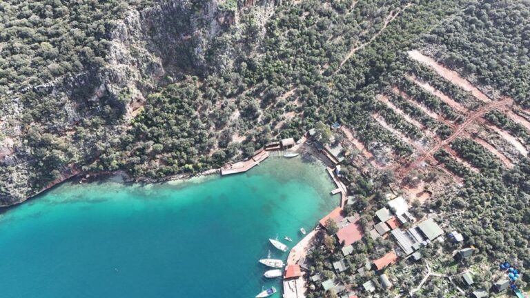 photo_5796163605995654532_y