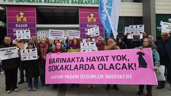 barınakta hayat yok