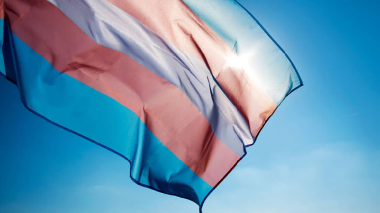 trans-flag (1)