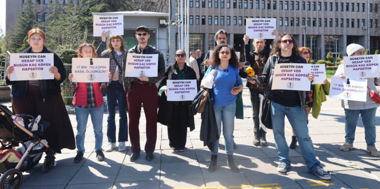 WhatsApp Image 2026-04-08 at 08.33