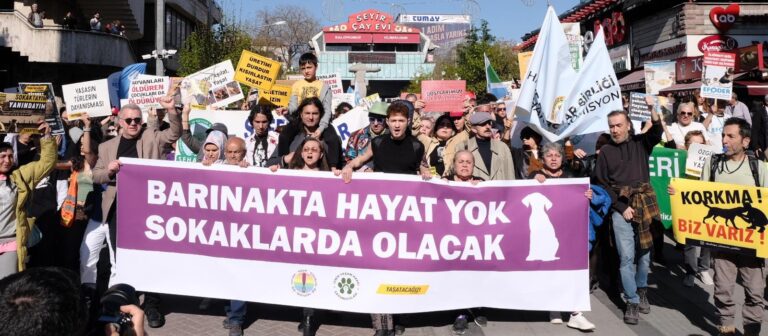 WhatsApp Image 2026-04-25 at 19.53