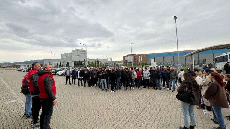 photo_5949500337964125244_y