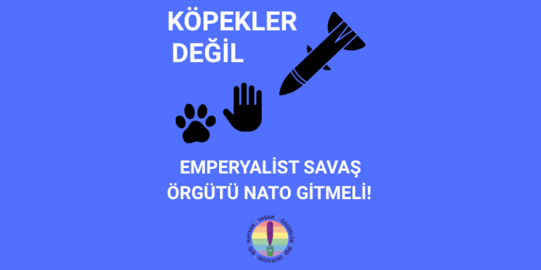 KÖPEKLER (800 x 400 piksel)