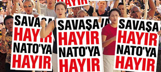 images (7)