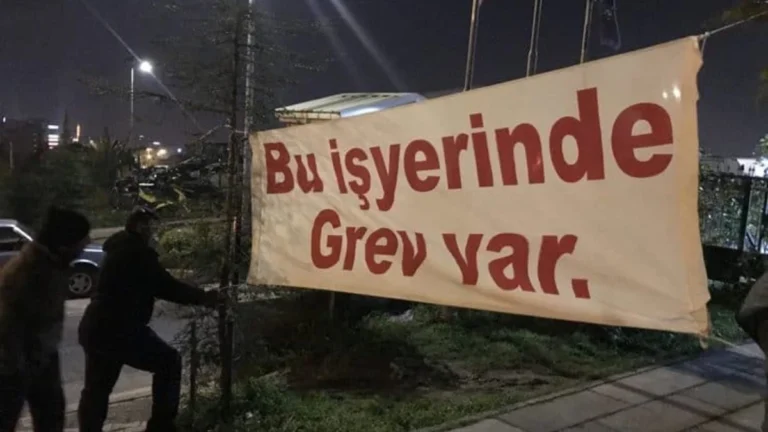 1125953_115d67